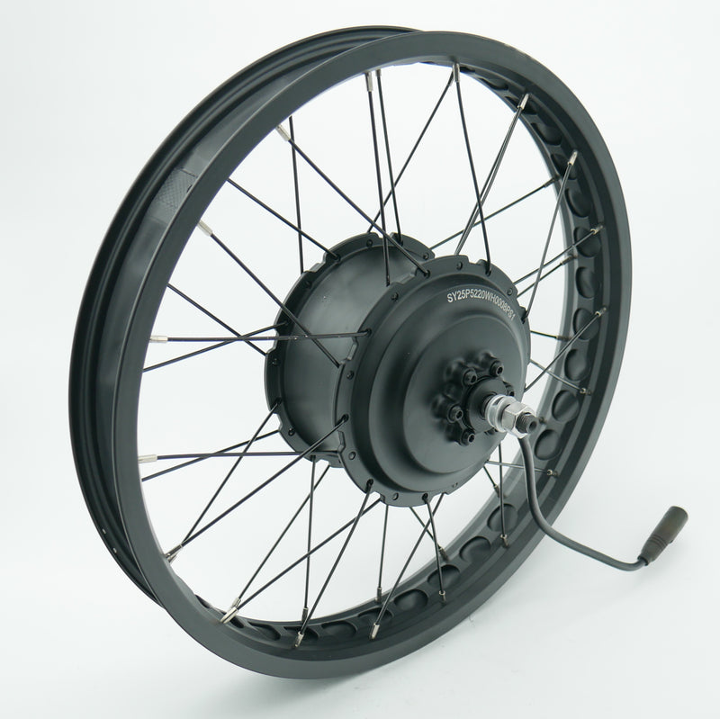 Shengyi 52V 750W Hub Motor in 20" Wheel